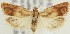  ( - MDH018541)  @14 [ ] CreativeCommons  Attribution (by) (2018) Daniel Handfield Unspecified