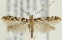  ( - MDH018028)  @11 [ ] CreativeCommons  Attribution (by) (2018) Daniel Handfield Unspecified