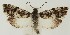  ( - MDH020839)  @11 [ ] CreativeCommons  Attribution (by) (2018) Daniel Handfield Unspecified