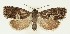  ( - MDH017612)  @11 [ ] CreativeCommons  Attribution (by) (2018) Daniel Handfield Unspecified