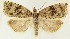  ( - MDH021389)  @11 [ ] CreativeCommons  Attribution (by) (2018) Daniel Handfield Unspecified