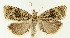  ( - MDH021321)  @11 [ ] CreativeCommons  Attribution (by) (2018) Daniel Handfield Unspecified