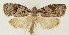  ( - MDH013447)  @11 [ ] CreativeCommons  Attribution (by) (2018) Daniel Handfield Unspecified