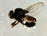  ( - Cau00259)  @11 [ ] CreativeCommons - Attribution (2009) Unspecified Centre for Biodiversity Genomics