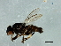  ( - Cau00292)  @11 [ ] CreativeCommons - Attribution (2009) Unspecified Centre for Biodiversity Genomics