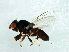  ( - Cau00294)  @13 [ ] CreativeCommons - Attribution (2009) Unspecified Centre for Biodiversity Genomics