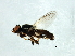  ( - Cau00299)  @11 [ ] CreativeCommons - Attribution (2009) Unspecified Centre for Biodiversity Genomics