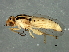  ( - Cau00335)  @12 [ ] CreativeCommons - Attribution (2009) Unspecified Centre for Biodiversity Genomics