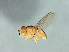  ( - Cau00345)  @12 [ ] CreativeCommons - Attribution (2009) Unspecified Centre for Biodiversity Genomics