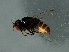  ( - Cau00395)  @11 [ ] CreativeCommons - Attribution (2009) Unspecified Centre for Biodiversity Genomics