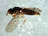  ( - Cau00403)  @12 [ ] CreativeCommons - Attribution (2009) Unspecified Centre for Biodiversity Genomics