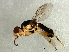 ( - Cau00426)  @13 [ ] CreativeCommons - Attribution (2009) Unspecified Centre for Biodiversity Genomics