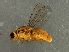  ( - Cau00447)  @11 [ ] CreativeCommons - Attribution (2009) Unspecified Centre for Biodiversity Genomics