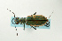 ( - CIC09-078)  @12 [ ] Unspecified (default): All Rights Reserved  Unspecified Unspecified