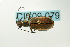  ( - CIC09-079)  @12 [ ] Unspecified (default): All Rights Reserved  Unspecified Unspecified