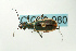  ( - CIC09-080)  @12 [ ] Unspecified (default): All Rights Reserved  Unspecified Unspecified