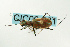  ( - CIC09-081)  @12 [ ] Unspecified (default): All Rights Reserved  Unspecified Unspecified