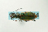  ( - CIC09-084)  @12 [ ] Unspecified (default): All Rights Reserved  Unspecified Unspecified
