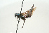  ( - SIR 001)  @14 [ ] Unspecified (default): All Rights Reserved  Unspecified Unspecified