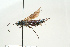  ( - SIR 002)  @13 [ ] Unspecified (default): All Rights Reserved  Unspecified Unspecified