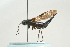  ( - SIR 003)  @14 [ ] Unspecified (default): All Rights Reserved  Unspecified Unspecified