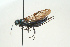  ( - SIR 004)  @13 [ ] Unspecified (default): All Rights Reserved  Unspecified Unspecified