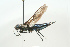  ( - SIR 005)  @14 [ ] Unspecified (default): All Rights Reserved  Unspecified Unspecified