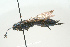  ( - SIR 006)  @13 [ ] Unspecified (default): All Rights Reserved  Unspecified Unspecified
