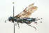  ( - SIR 007)  @13 [ ] Unspecified (default): All Rights Reserved  Unspecified Unspecified