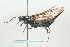  ( - SIR 009)  @14 [ ] Unspecified (default): All Rights Reserved  Unspecified Unspecified