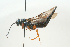  ( - SIR 010)  @13 [ ] Unspecified (default): All Rights Reserved  Unspecified Unspecified
