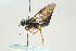 ( - SIR 011)  @14 [ ] Unspecified (default): All Rights Reserved  Unspecified Unspecified