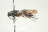  ( - SIR 012)  @11 [ ] Unspecified (default): All Rights Reserved  Unspecified Unspecified