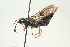  ( - SIR 013)  @13 [ ] Unspecified (default): All Rights Reserved  Unspecified Unspecified