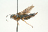  ( - SIR 014)  @13 [ ] Unspecified (default): All Rights Reserved  Unspecified Unspecified