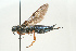  ( - SIR 015)  @13 [ ] Unspecified (default): All Rights Reserved  Unspecified Unspecified