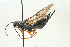  ( - SIR 016)  @14 [ ] Unspecified (default): All Rights Reserved  Unspecified Unspecified