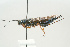  ( - SIR 017)  @13 [ ] Unspecified (default): All Rights Reserved  Unspecified Unspecified