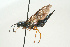  ( - SIR 018)  @13 [ ] Unspecified (default): All Rights Reserved  Unspecified Unspecified