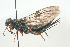  ( - SIR 019)  @13 [ ] Unspecified (default): All Rights Reserved  Unspecified Unspecified