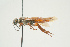  ( - SIR 037)  @14 [ ] Unspecified (default): All Rights Reserved  Unspecified Unspecified
