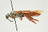  ( - SIR 039)  @14 [ ] Unspecified (default): All Rights Reserved  Unspecified Unspecified