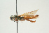  ( - SIR 041)  @12 [ ] Unspecified (default): All Rights Reserved  Unspecified Unspecified