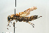  ( - SIR 053)  @13 [ ] Unspecified (default): All Rights Reserved  Unspecified Unspecified