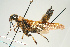  ( - SIR 054)  @14 [ ] Unspecified (default): All Rights Reserved  Unspecified Unspecified