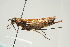  ( - SIR 056)  @13 [ ] Unspecified (default): All Rights Reserved  Unspecified Unspecified