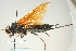  ( - SIR 070)  @12 [ ] Unspecified (default): All Rights Reserved  Unspecified Unspecified