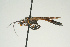 ( - SIR 072)  @13 [ ] Unspecified (default): All Rights Reserved  Unspecified Unspecified