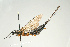  ( - SIR 085)  @11 [ ] Unspecified (default): All Rights Reserved  Unspecified Unspecified