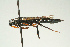  (Xeris - SIR 086)  @14 [ ] Unspecified (default): All Rights Reserved  Unspecified Unspecified